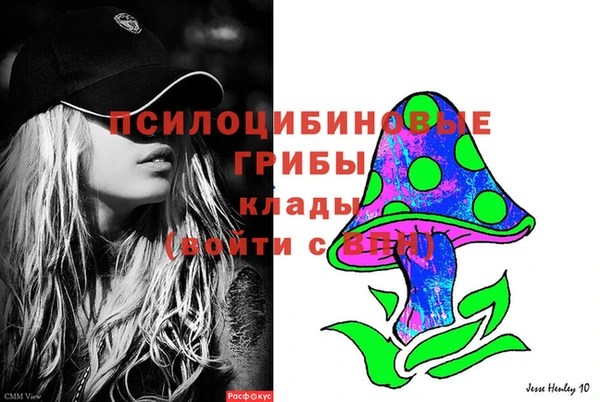 стафф Алексин