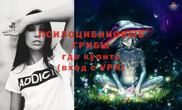 PSILOCYBIN Алзамай
