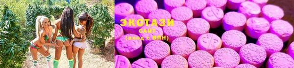 PSILOCYBIN Алзамай