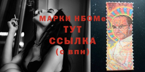 стафф Алексин