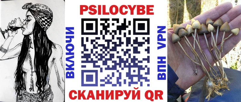 Псилоцибиновые грибы Cubensis Дудинка
